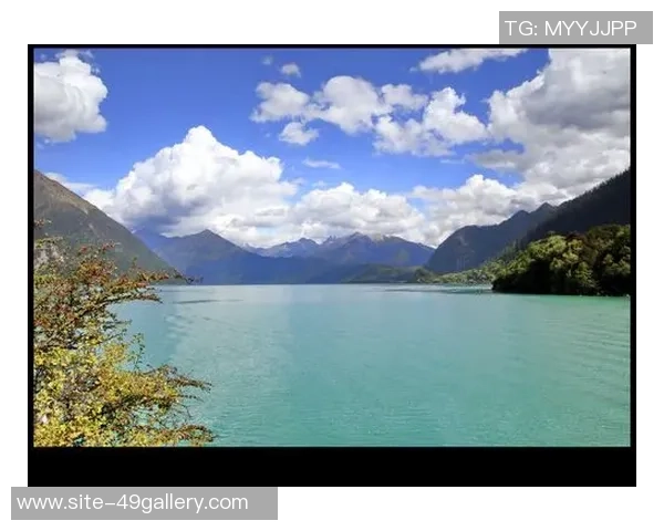 斯通斯乐队的音乐传奇与文化影响力探讨之旅