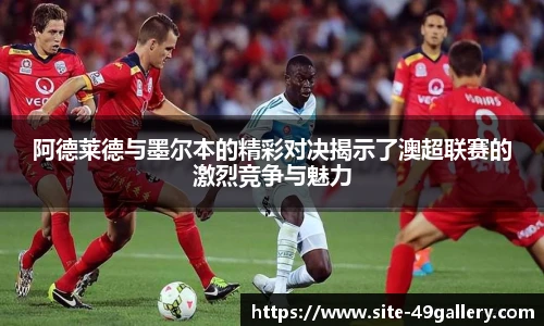 49图库正版免费