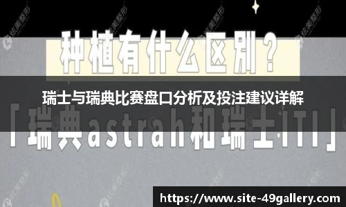 49图库正版免费