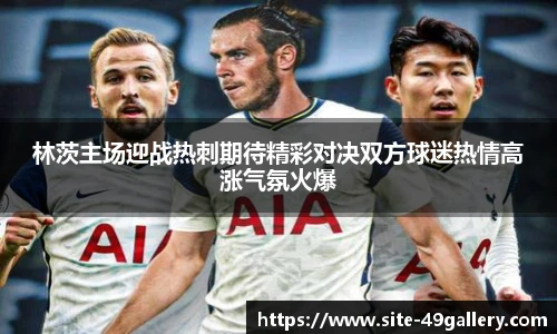 林茨主场迎战热刺期待精彩对决双方球迷热情高涨气氛火爆
